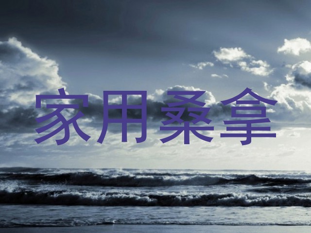家用桑拿