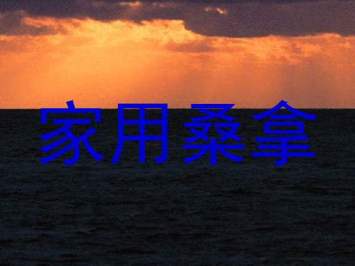 家用桑拿