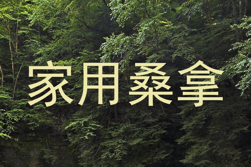 家用桑拿