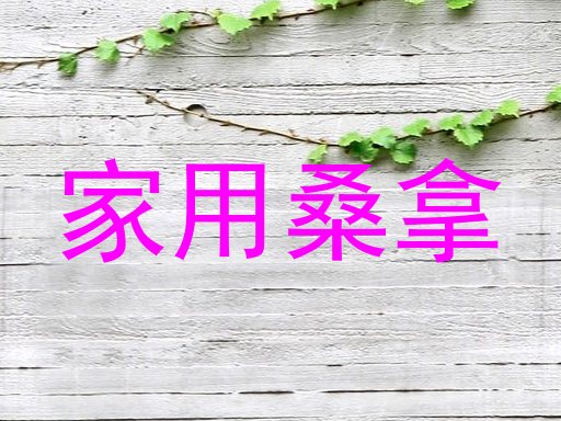 家用桑拿