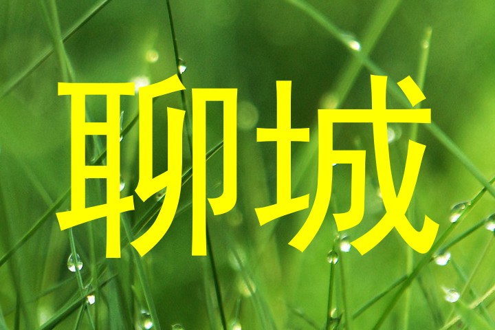 聊城