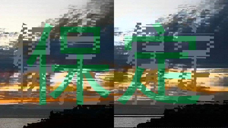 保定