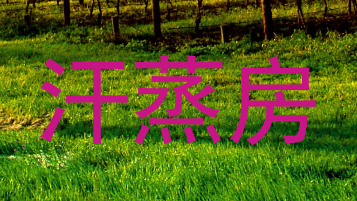 汗蒸房