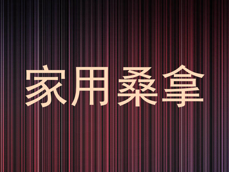 家用桑拿