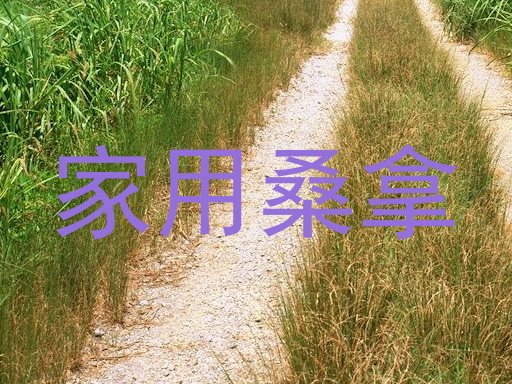家用桑拿