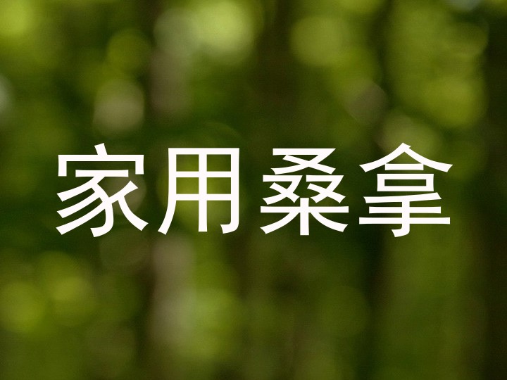 家用桑拿