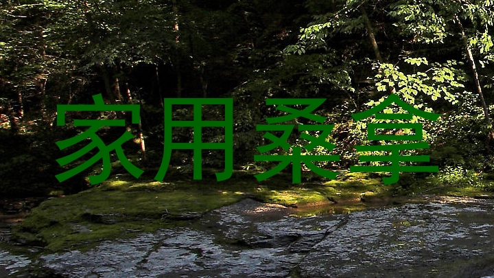家用桑拿