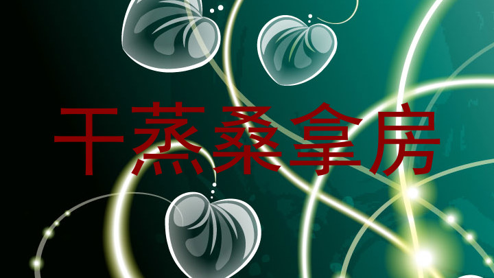 干蒸桑拿房