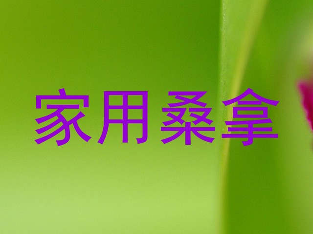 家用桑拿