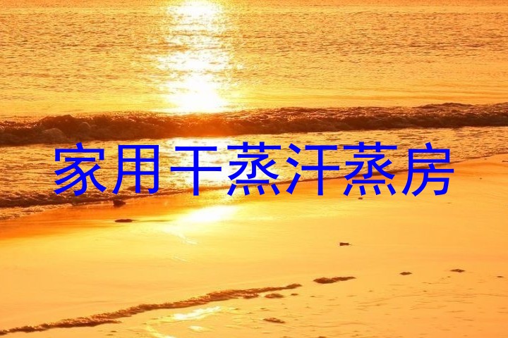 家用干蒸汗蒸房