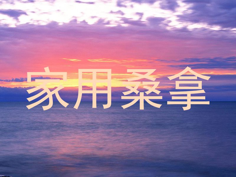 家用桑拿