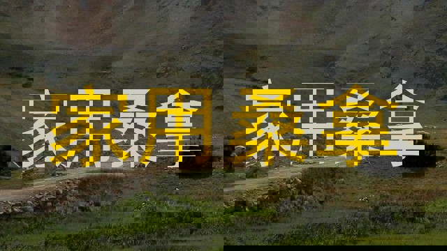 家用桑拿