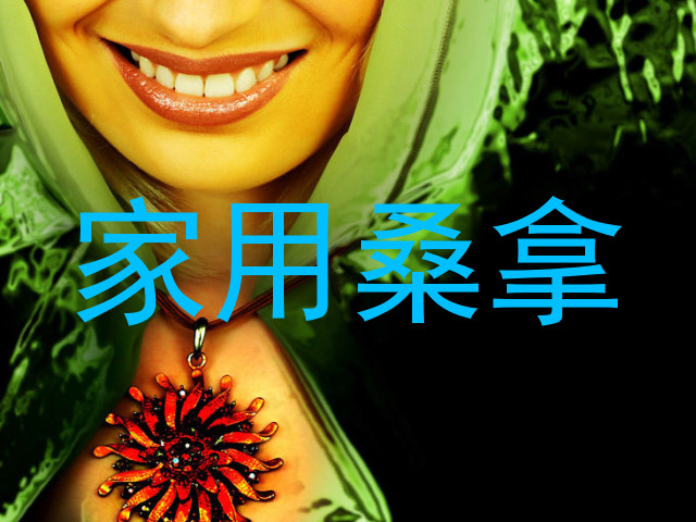 家用桑拿