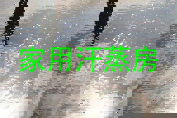 家用汗蒸房