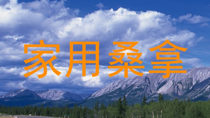 家用桑拿
