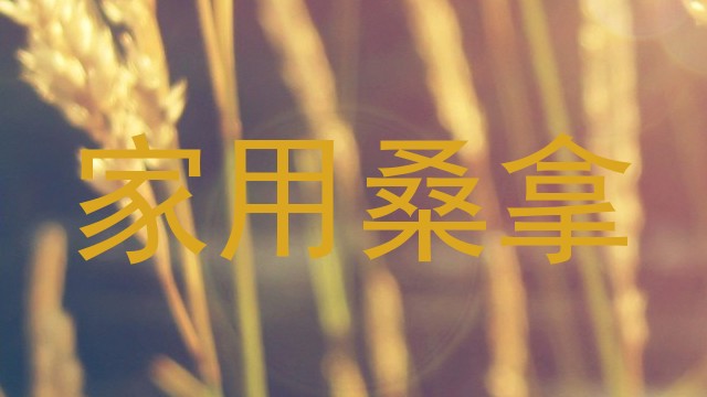 家用桑拿