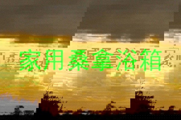 家用桑拿浴箱