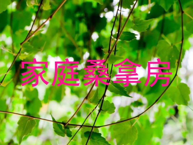 家庭桑拿房