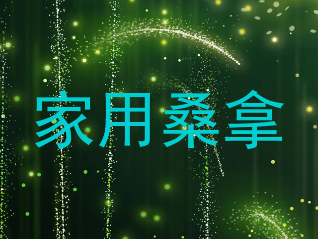 家用桑拿