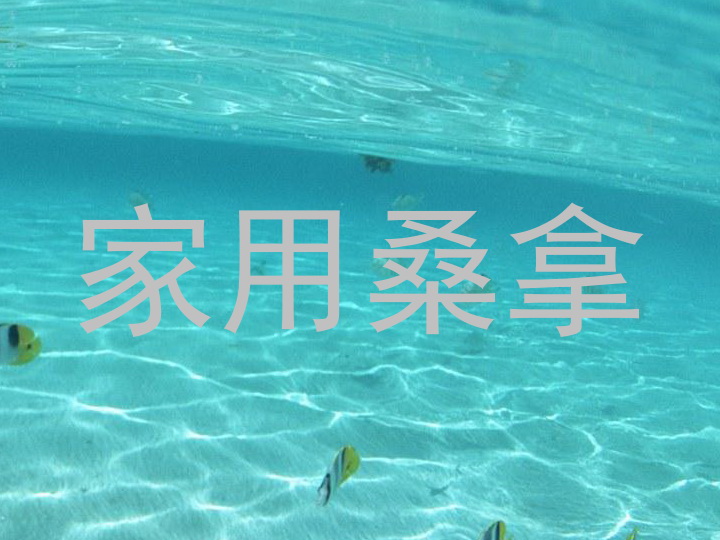家用桑拿