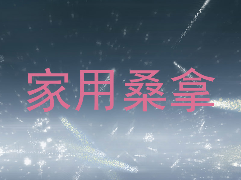 家用桑拿