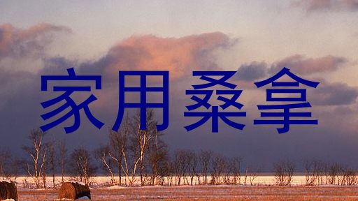 家用桑拿