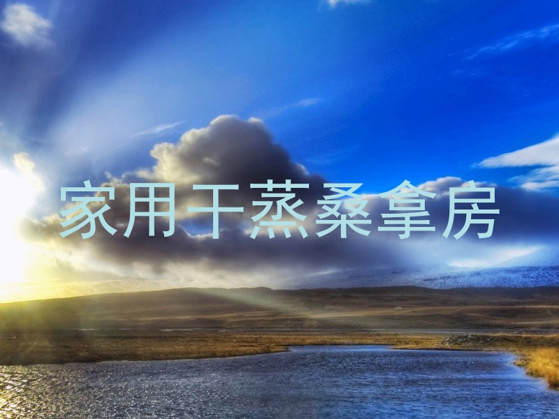 家用干蒸桑拿房