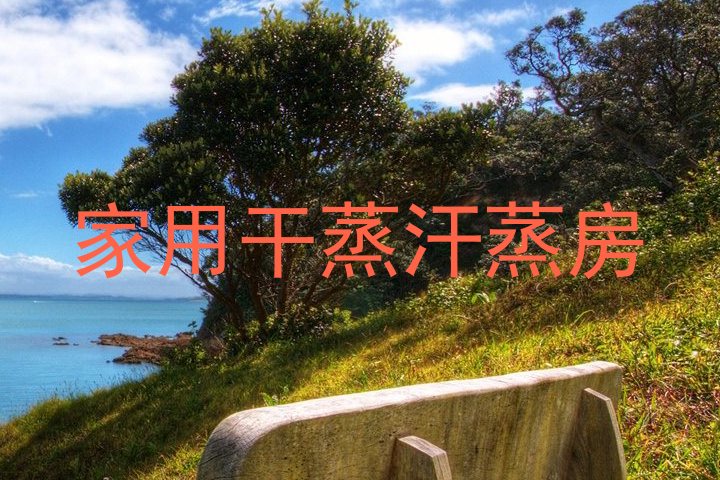 家用干蒸汗蒸房