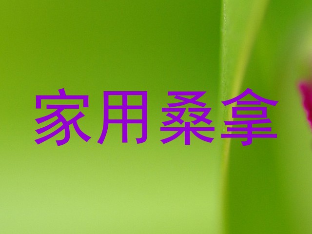 家用桑拿
