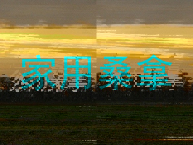 家用桑拿