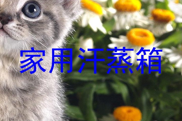 家用汗蒸箱