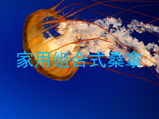 家用组合式桑拿