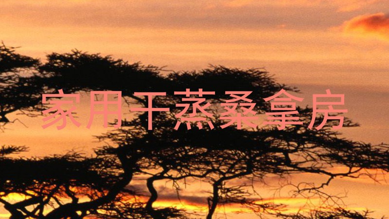 家用干蒸桑拿房