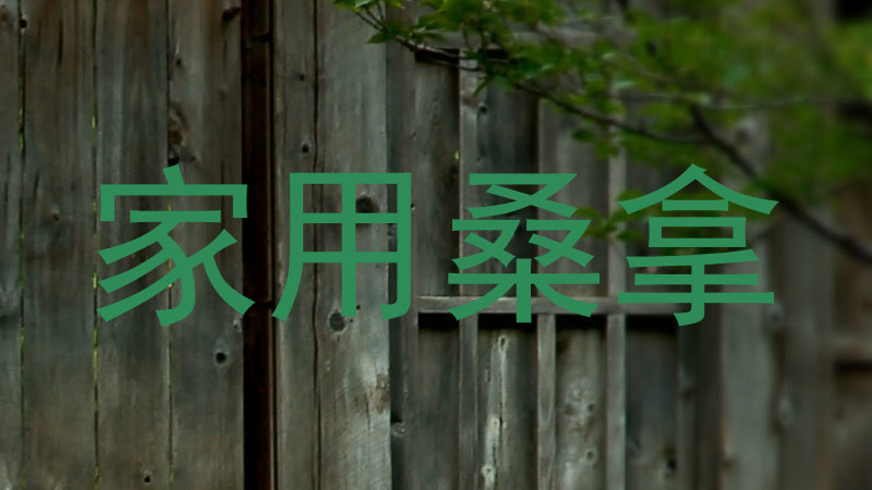 家用桑拿