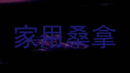 家用桑拿