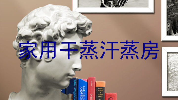 家用干蒸汗蒸房