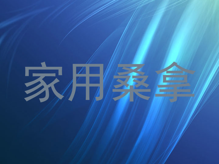 家用桑拿