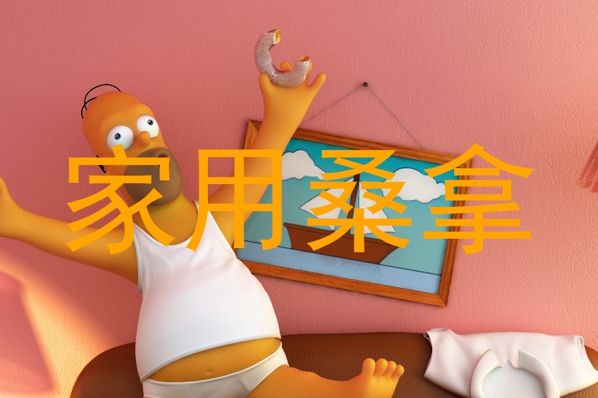 家用桑拿