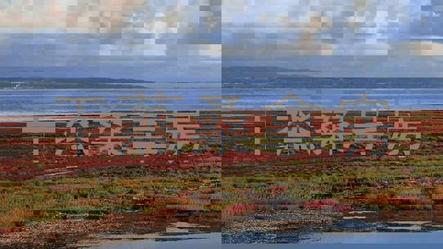 干蒸桑拿房