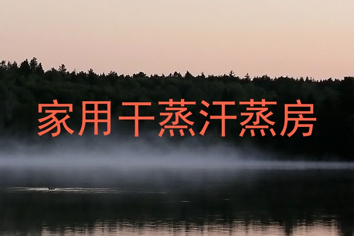 家用干蒸汗蒸房