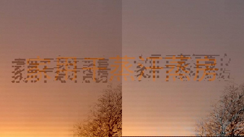 家用干蒸汗蒸房