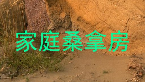 家庭桑拿房