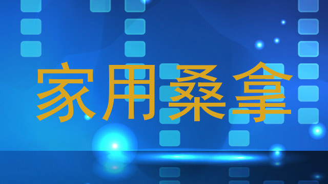 家用桑拿