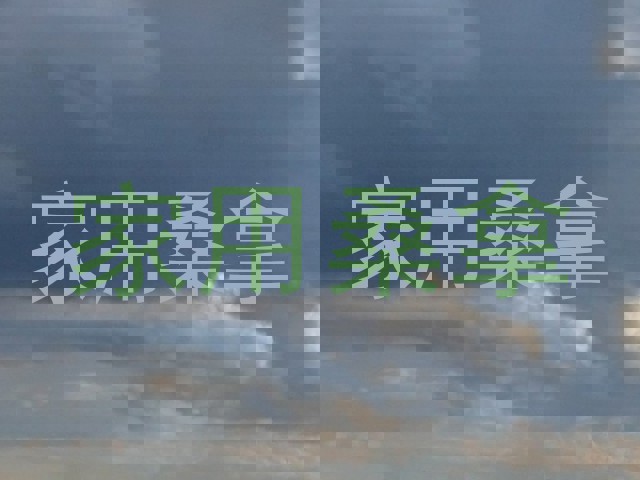 家用桑拿