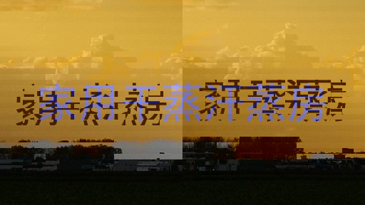 家用干蒸汗蒸房