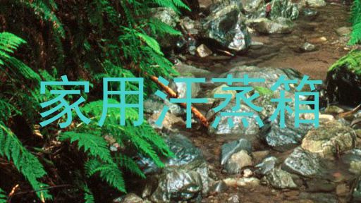 家用汗蒸箱
