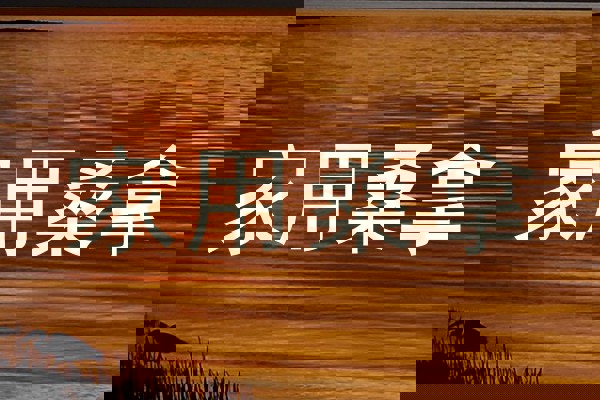 家用桑拿