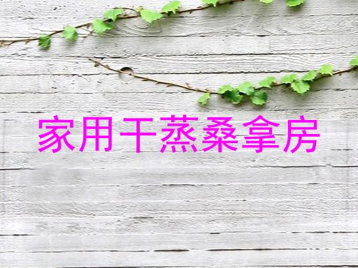 家用干蒸桑拿房