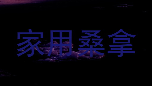 家用桑拿