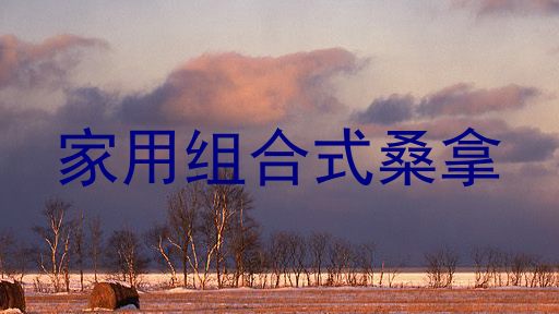 家用组合式桑拿